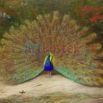 Songul