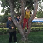 Harun