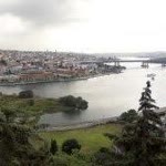 Nafize