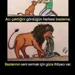 Şevket