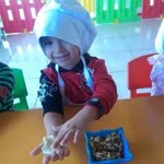 Ceylan
