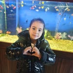 Derya