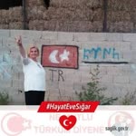 Çiğdem