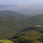 Osman
