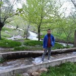 Murat