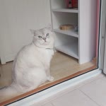 Deniz