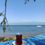 Şenol
