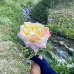Büşranur