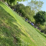 Veysel