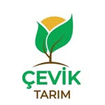 Çevik