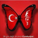 Melek