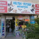 Yüksel