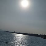 Sadece