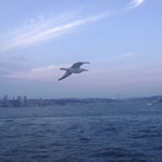 Meryem