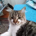 Aytekin