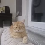 Tayfur