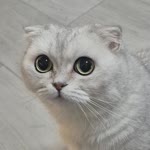 Aslıhan