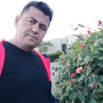 Mehmet
