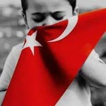 Nur
