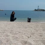 Bircan