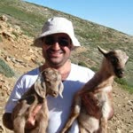 Orhan