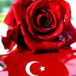 Nurullah
