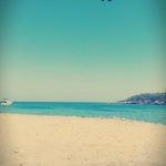 Duygu