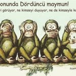Tülay