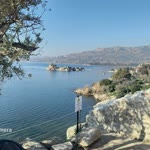 Niyazi