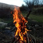 Vedat