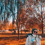 Betül