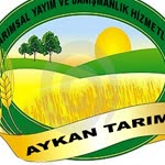 Aykan