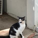 Ugur
