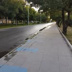 Melek