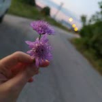 Elif