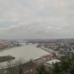 Neset