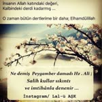 Ahmed