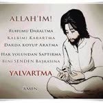 O.tamer