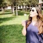 Melis