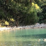 Elif