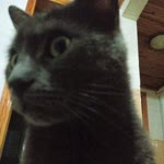 Beyza