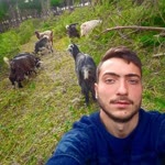 Enes