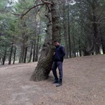 Kaan