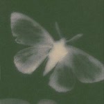 Zeyneb