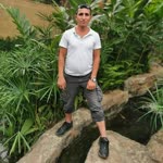 Veysel