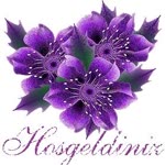 Sibel