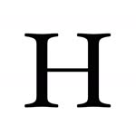 Hayat