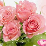 Emel
