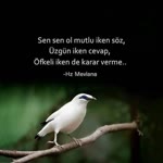 Elif