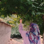 Beyza